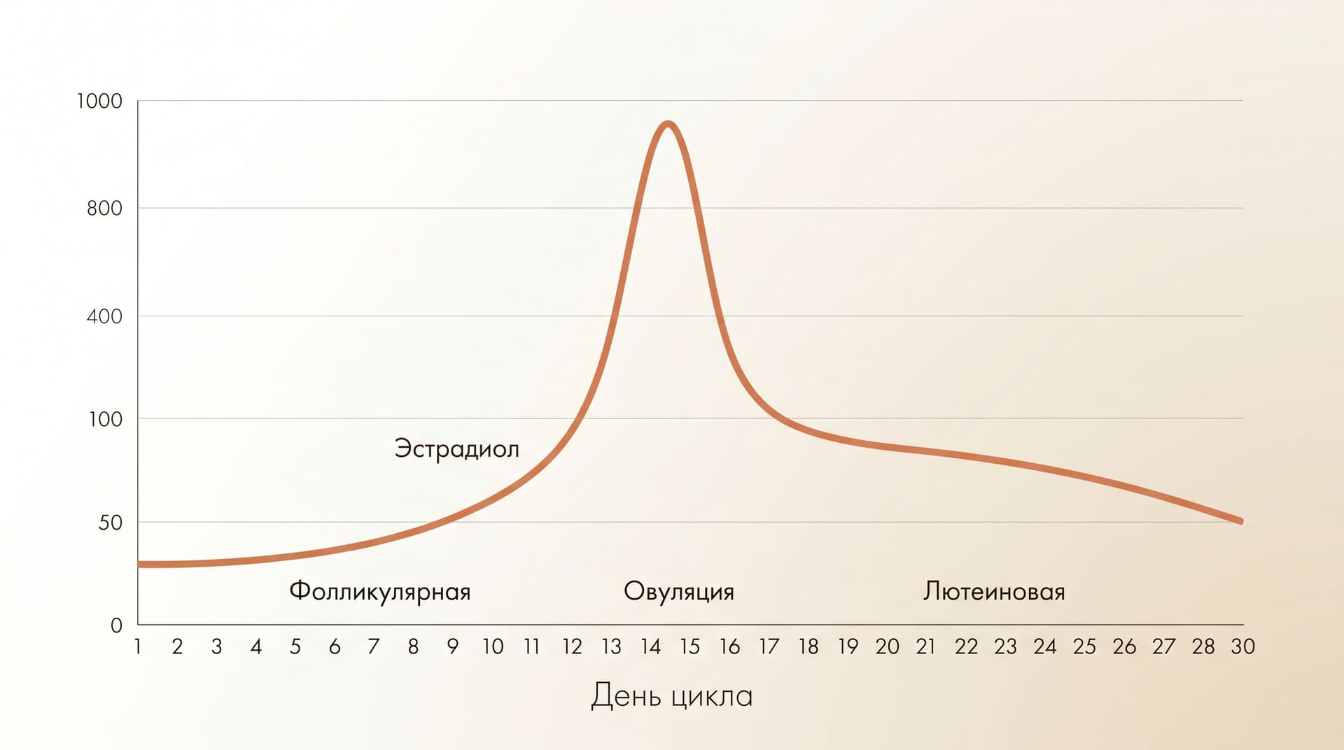 Инфографика: кривая уровня эстрадиола по дням менструального цикла с пиком перед овуляцией