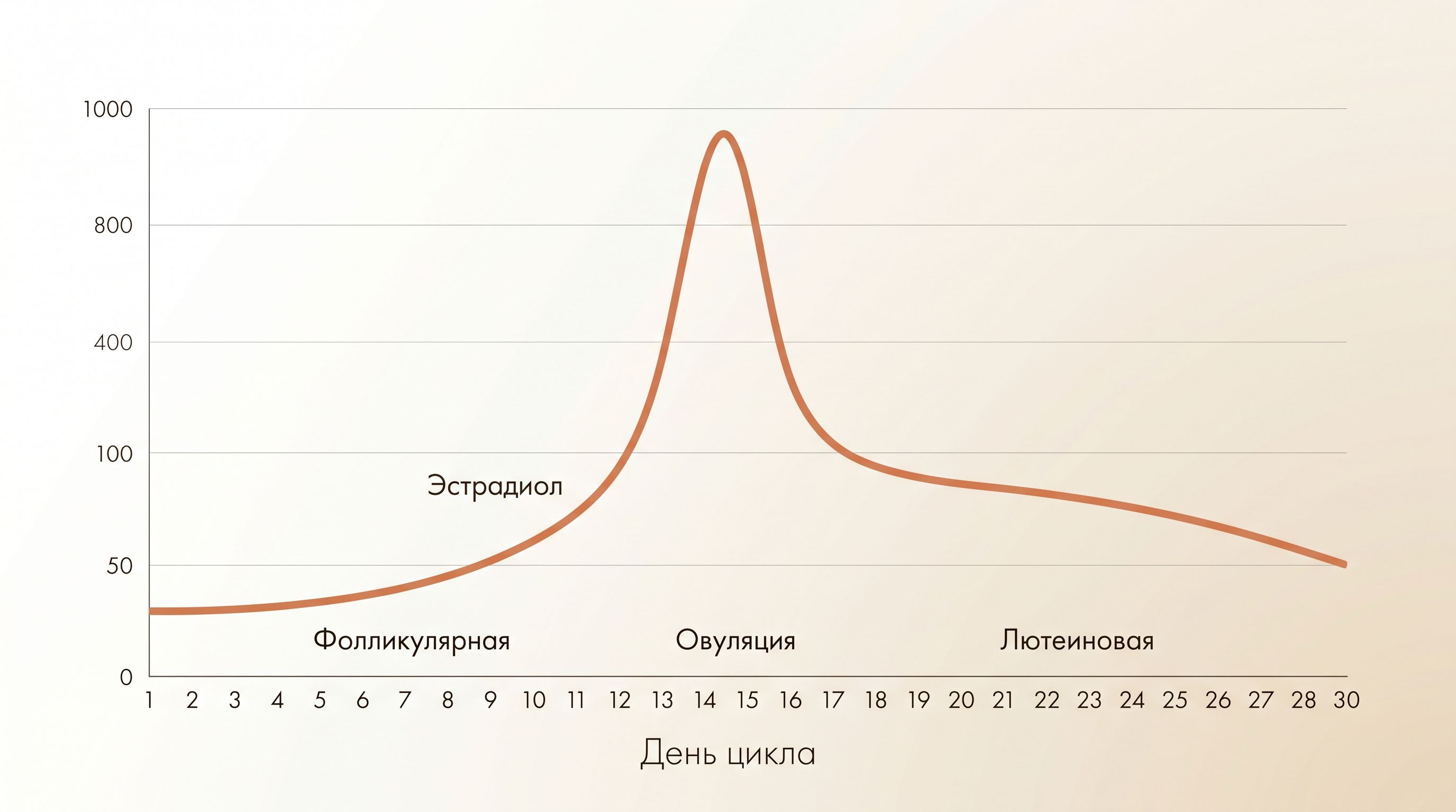 Инфографика: кривая уровня эстрадиола по дням менструального цикла с пиком перед овуляцией